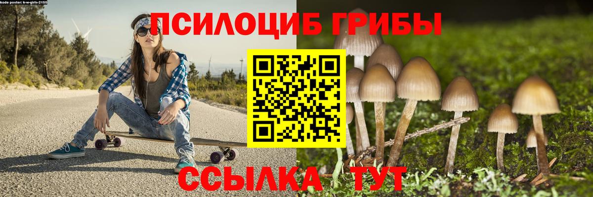 Галлюциногенные грибы Psilocybe Касимов